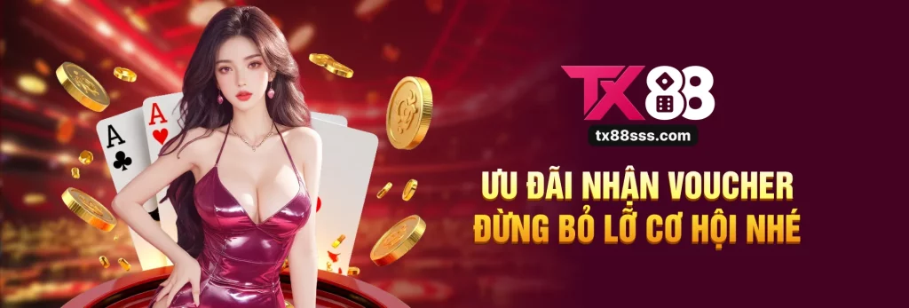 banner tx88